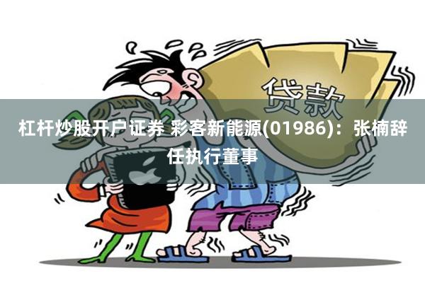 杠杆炒股开户证券 彩客新能源(01986)：张楠辞任执行董事