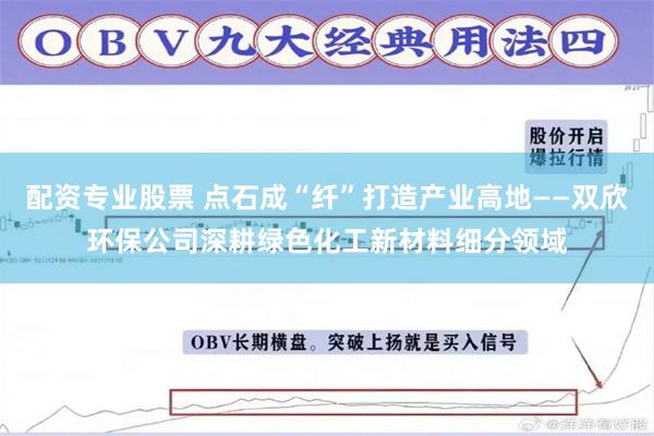 配资专业股票 点石成“纤”打造产业高地——双欣环保公司深耕绿色化工新材料细分领域