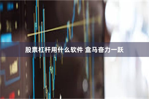 股票杠杆用什么软件 盒马奋力一跃