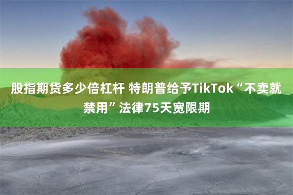 股指期货多少倍杠杆 特朗普给予TikTok“不卖就禁用”法律75天宽限期