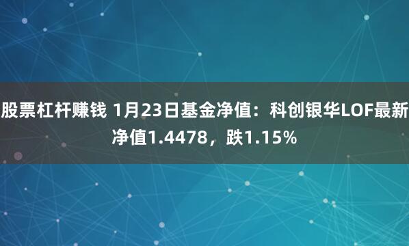 股票杠杆赚钱 1月23日基金净值：科创银华LOF最新净值1.4478，跌1.15%