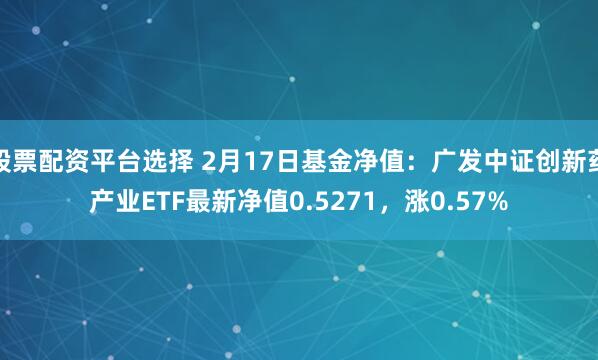 股票配资平台选择 2月17日基金净值：广发中证创新药产业ETF最新净值0.5271，涨0.57%